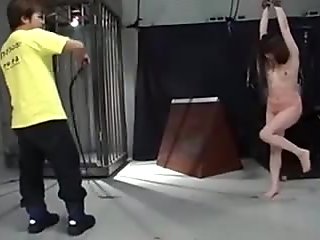 Japanese Bdsm 27